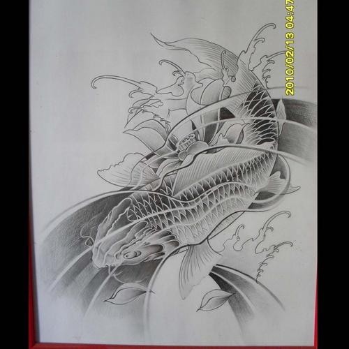 青龍魚圖片青鱗紋身