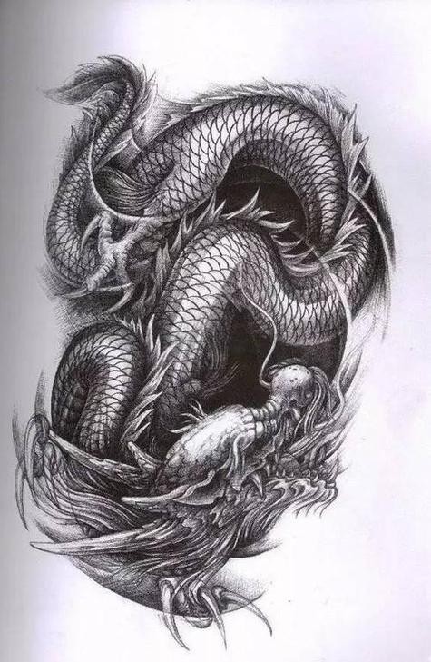青龍魚圖片青鱗紋身
