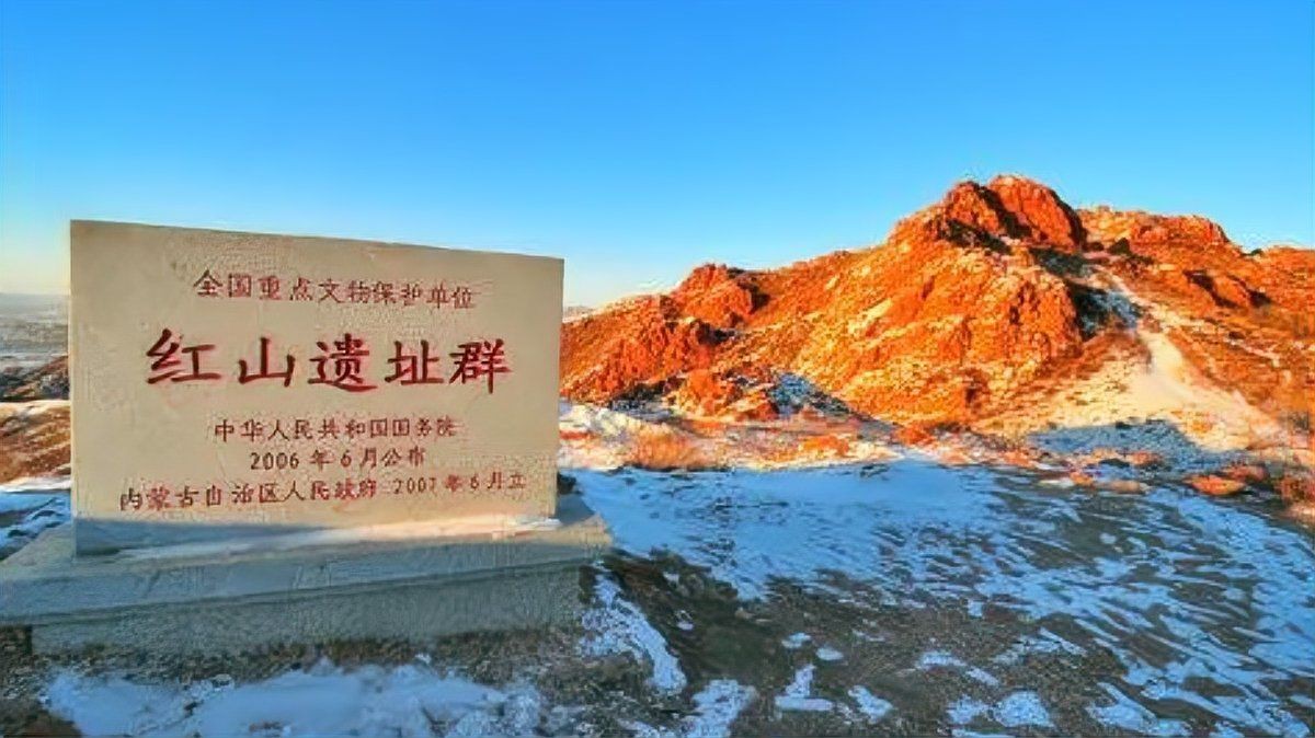 紅山c形龍的價值