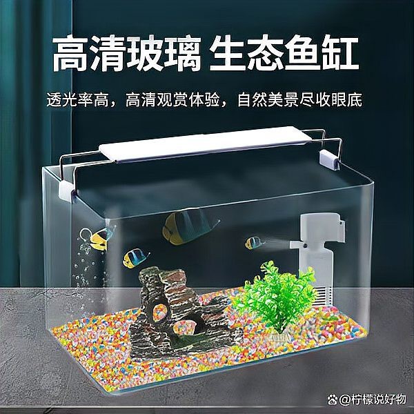 龍魚缸中可以放哪些裝飾物