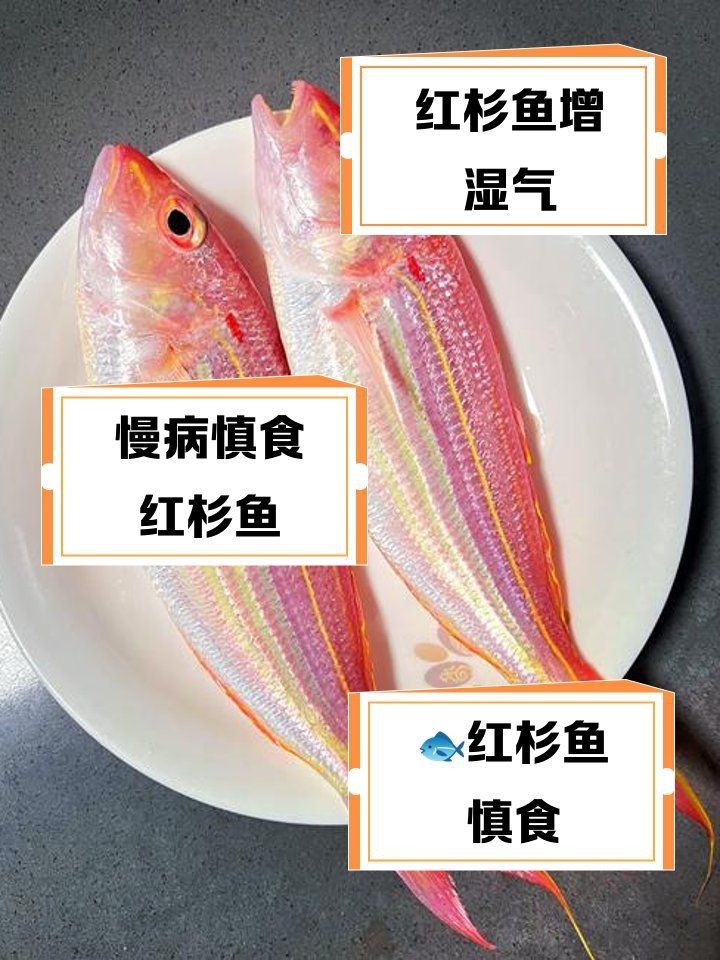 紅杉魚為何被禁止食用