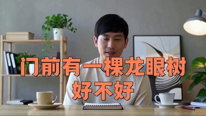 龍眼紅眼樹如何布局？ 龍眼紅眼樹如何布局？ 龍魚百科 第3張
