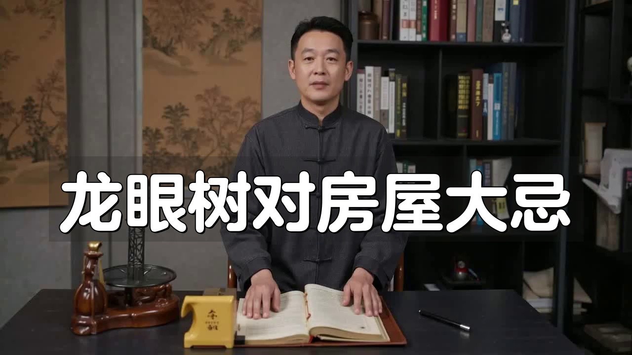 龍眼紅眼樹如何布局？ 龍眼紅眼樹如何布局？ 龍魚百科 第1張