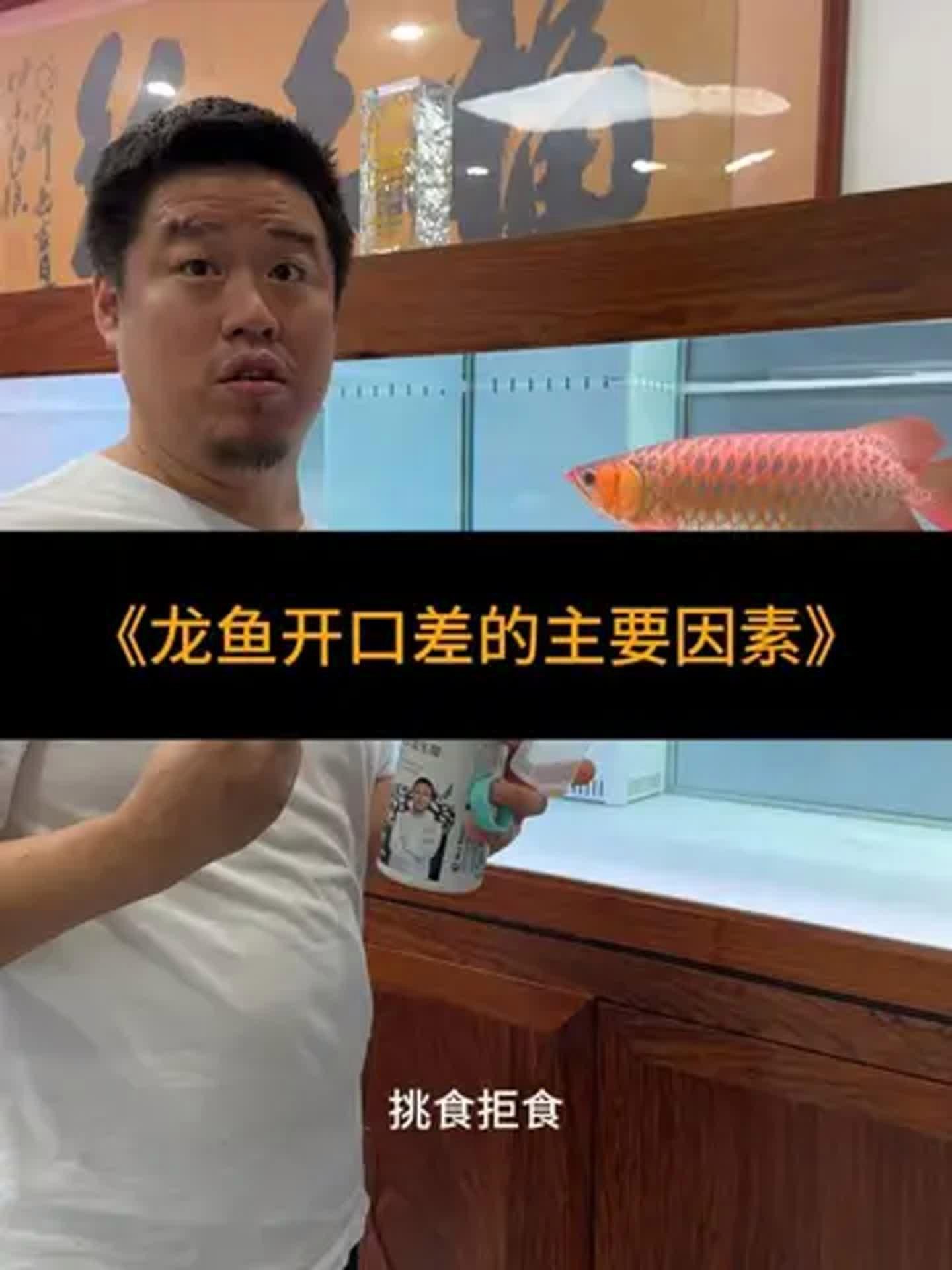 龍魚含食不吞如何應(yīng)急處理？