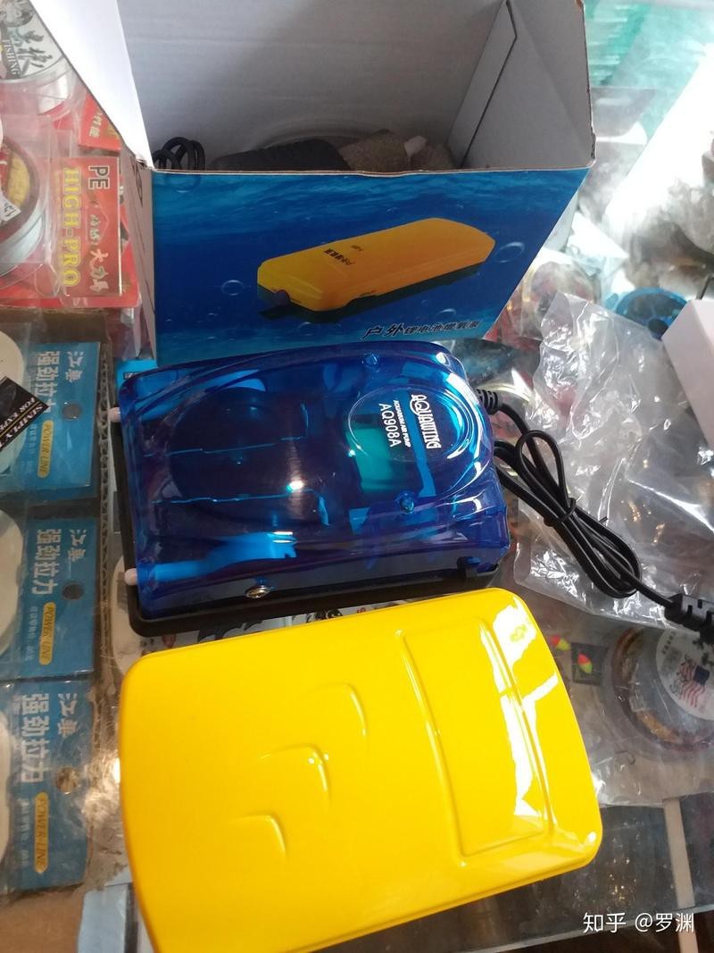地圖魚斜著身子躺缸底