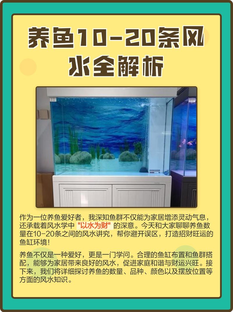 十間魚是吉兆還是兇兆 十間魚是吉兆還是兇兆 龍魚論壇 第1張