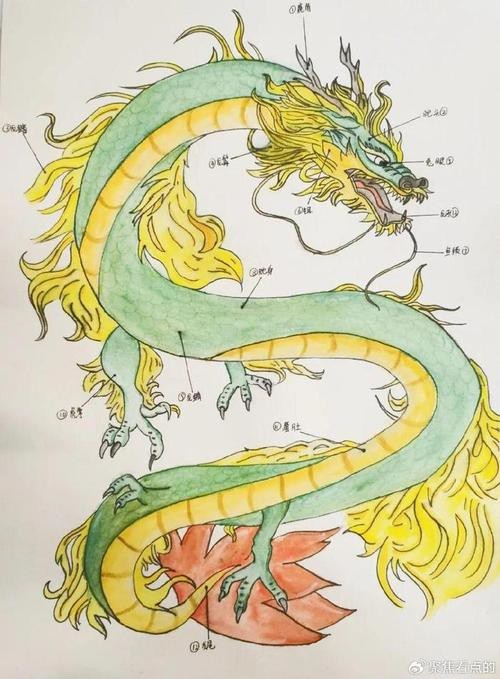 龍畫圖片大全