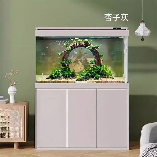 極魚龍魚缸