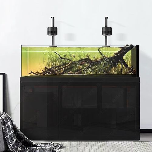 極魚龍魚缸