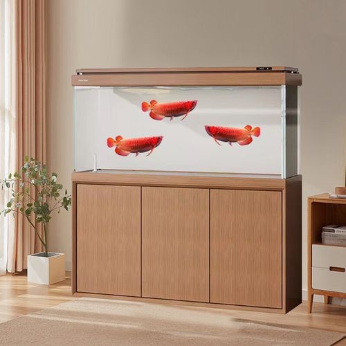 極魚龍魚缸