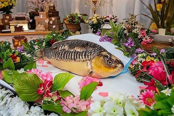 龍魚(yú)死了有什么忌諱嘛圖片