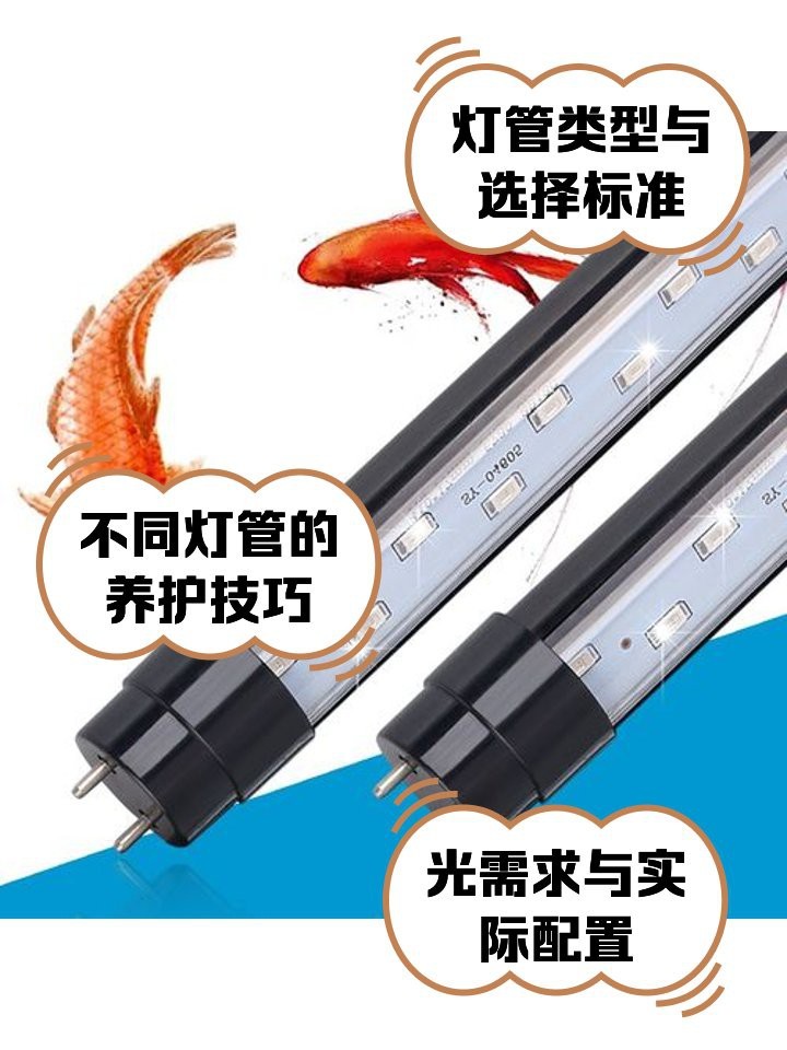 龍魚側燈需要多久換一次？ 龍魚側燈需要多久換一次？ 龍魚論壇 第1張
