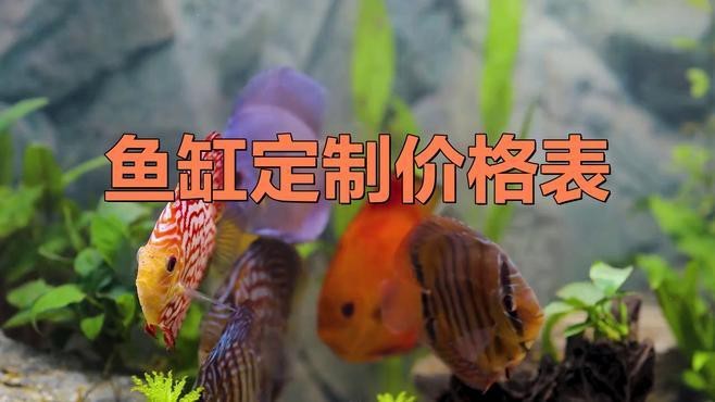定制魚缸多少錢一個(gè) 定制魚缸多少錢一個(gè) 龍魚論壇 第3張