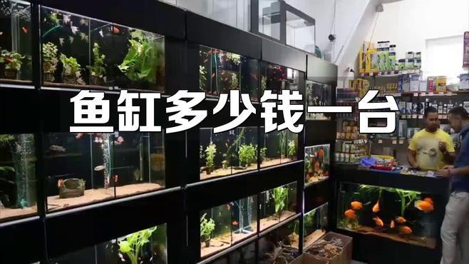 定制魚缸多少錢一個(gè) 定制魚缸多少錢一個(gè) 龍魚論壇 第8張
