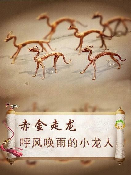 金龍長大后照片大全