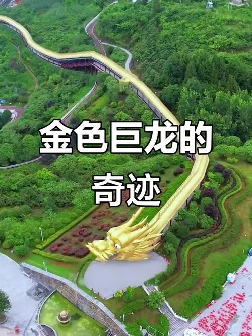 金龍長大后照片大全
