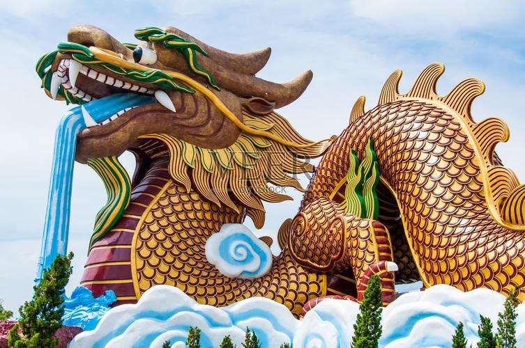 金龍長大后照片大全