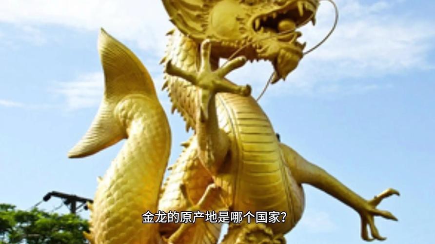 金龍長大后照片大全