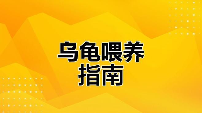 龍龜的飲食應該如何搭配？ 龍龜的飲食應該如何搭配？ 龍魚論壇 第3張