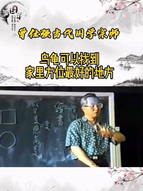 曾仕強談養烏龜 曾仕強談養烏龜 龍魚論壇 第2張