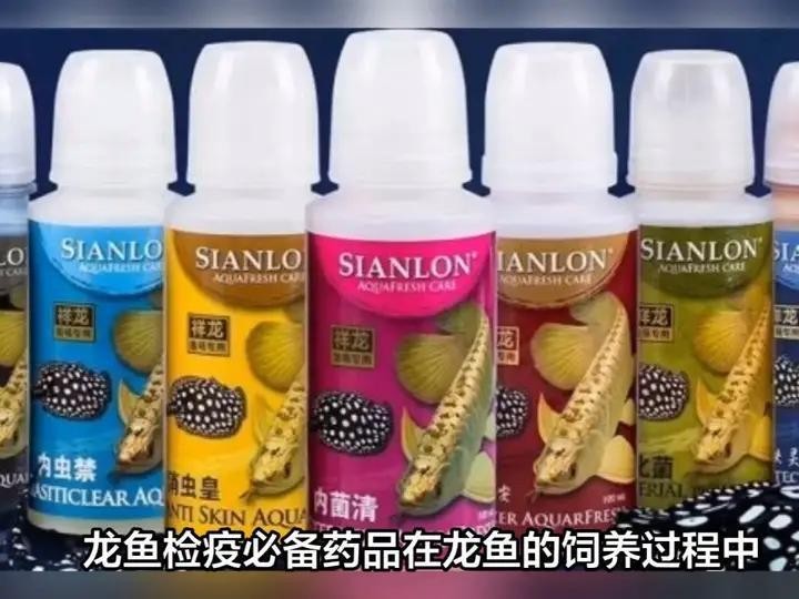 龍魚充血期間可以用藥嗎？