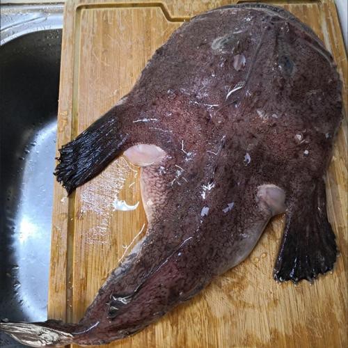 大嘴魚的真實照片 大嘴魚的真實照片 龍魚論壇 第6張
