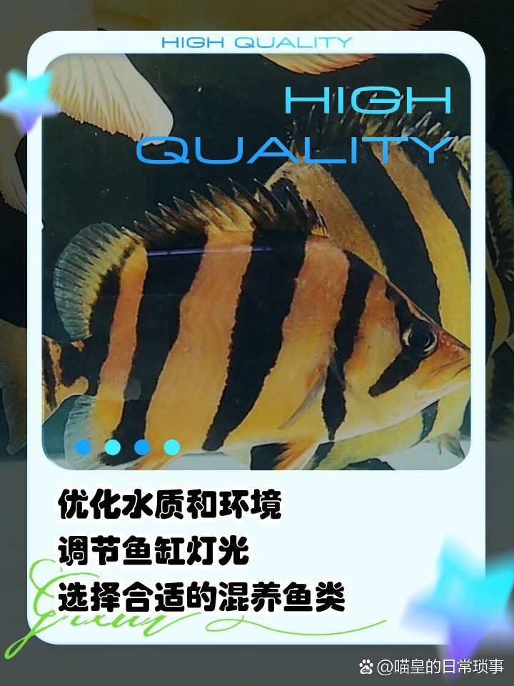 虎魚買回來就變黑了