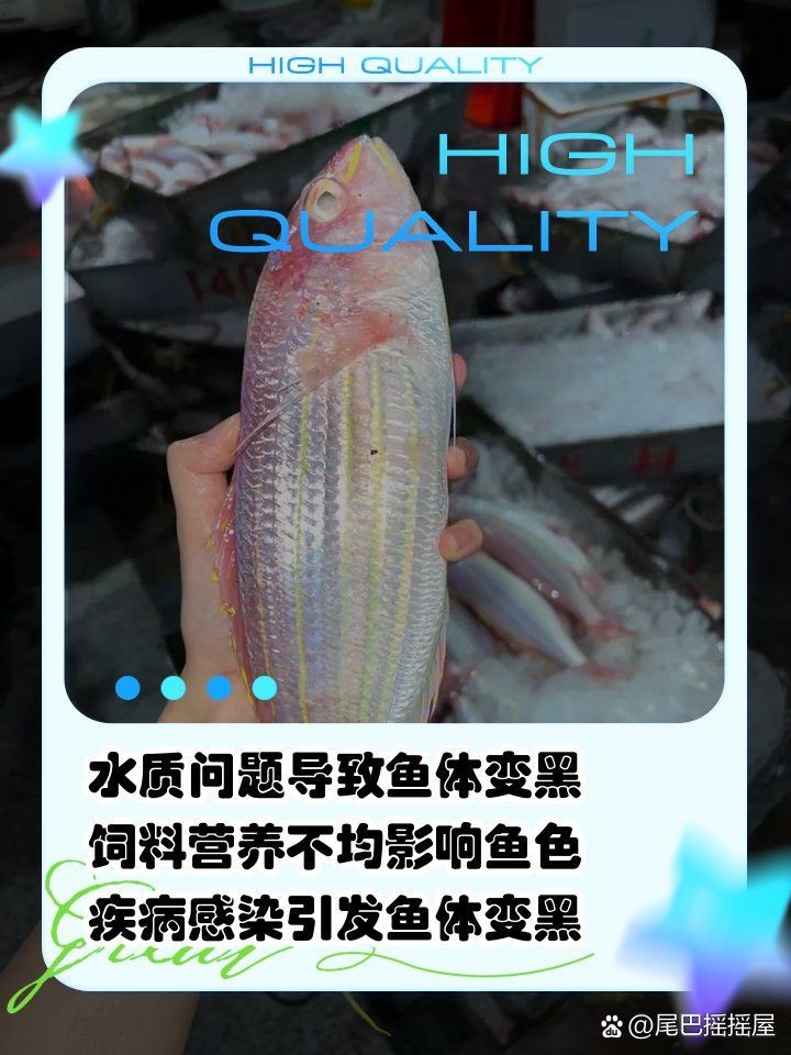 虎魚買回來就變黑了
