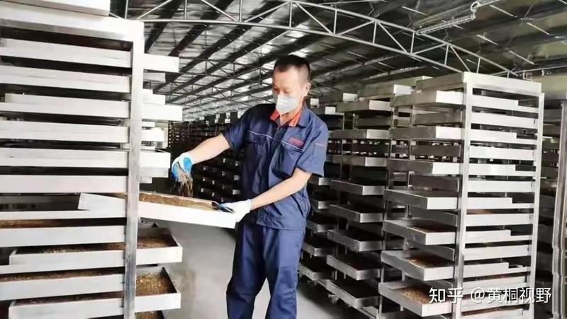 窮人養殖業什么最穩