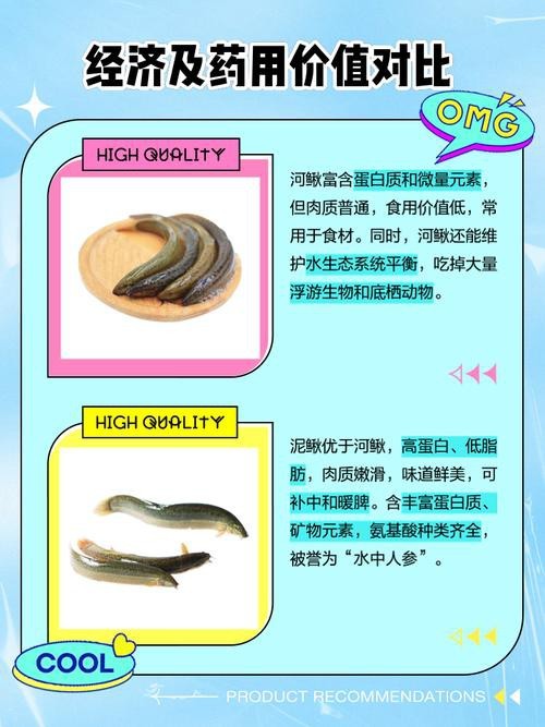十二種泥鰍圖片 龍魚論壇 第14張 十二種泥鰍圖片 十二種泥鰍圖片 龍魚論壇 第14張