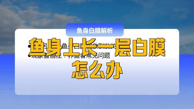 如何預防銀龍魚眼睛白膜的傳染？ 如何預防銀龍魚眼睛白膜的傳染？ 龍魚百科 第11張