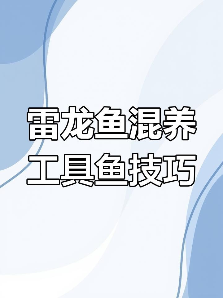 雷龍魚混養的最佳搭配是什么