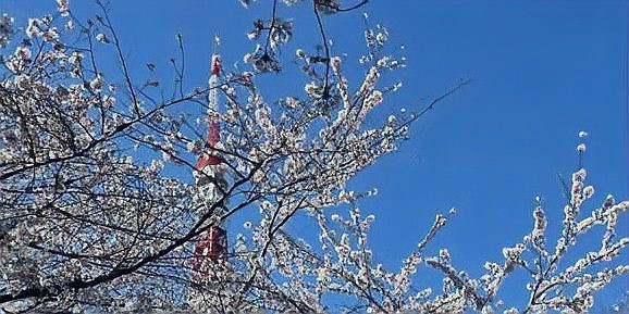 大正養(yǎng)士,昭和養(yǎng)鬼,平成養(yǎng)豚