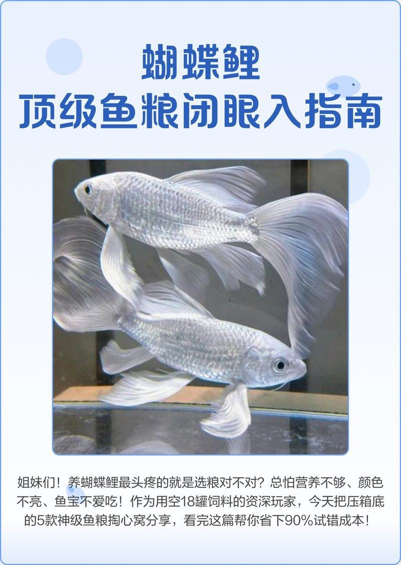蝴蝶鯉魚飼料排名前十名 蝴蝶鯉魚飼料排名前十名 龍魚論壇 第6張