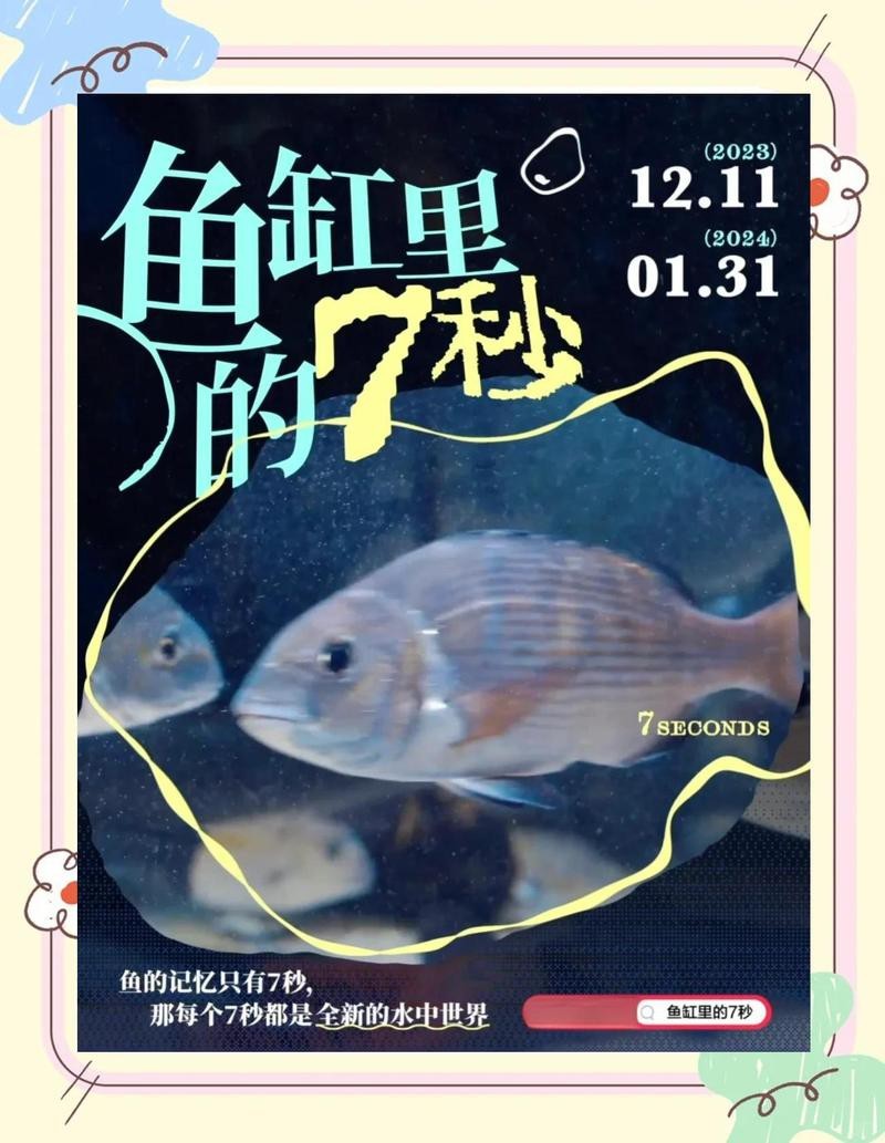 七秒魚缸和愛(ài)唯希那個(gè)好