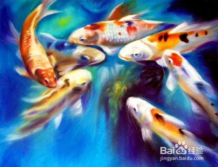 茅箭區朝陽路新新水族經營部（茅箭區朝陽路新新水族經營部地址）