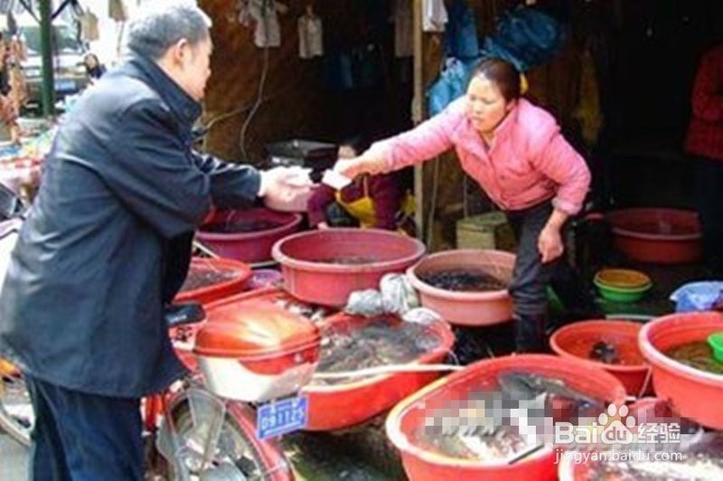 如何判斷金龍魚是否被泡藥？ 如何判斷金龍魚是否被泡藥？ 龍魚百科 第13張