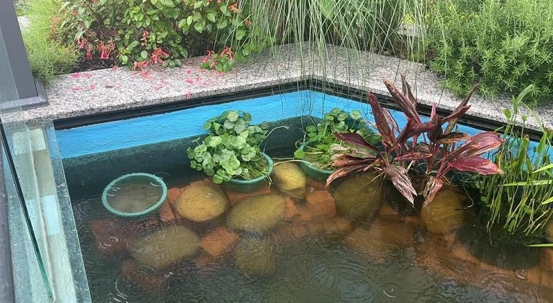 紅磚養魚有害嗎 龍魚論壇 第9張 紅磚養魚有害嗎 紅磚養魚有害嗎 龍魚論壇 第9張