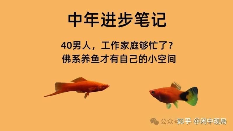 紅磚養魚有害嗎 龍魚論壇 第15張 紅磚養魚有害嗎 紅磚養魚有害嗎 龍魚論壇 第15張