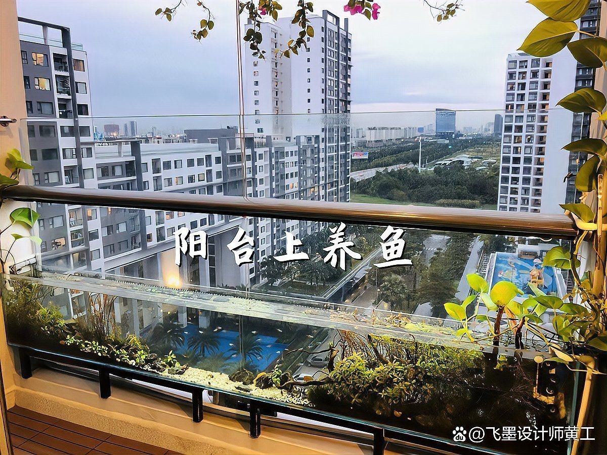 紅磚養魚有害嗎 龍魚論壇 第13張 紅磚養魚有害嗎 紅磚養魚有害嗎 龍魚論壇 第13張