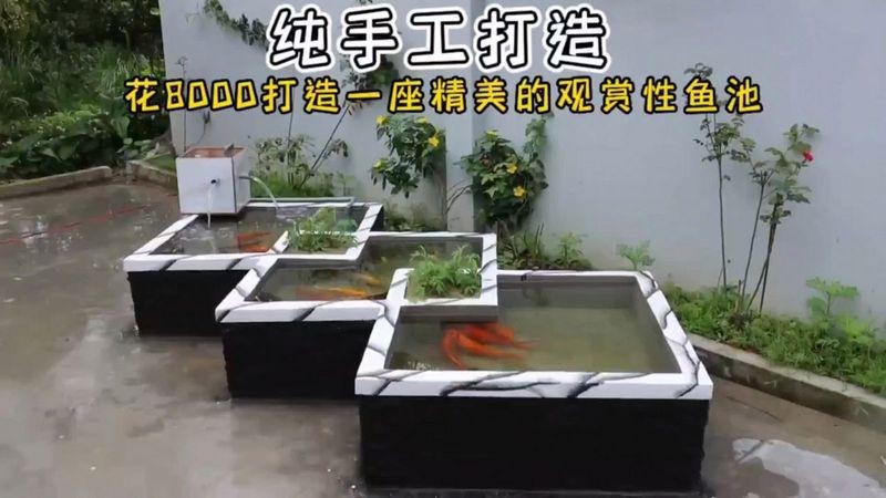 紅磚養魚有害嗎 龍魚論壇 第17張 紅磚養魚有害嗎 紅磚養魚有害嗎 龍魚論壇 第17張