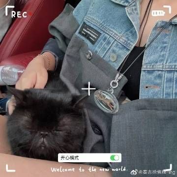 新手適合養什么熱帶魚，5種常見熱帶觀賞魚進口品種常見熱帶觀賞魚5種常見熱帶觀賞魚
