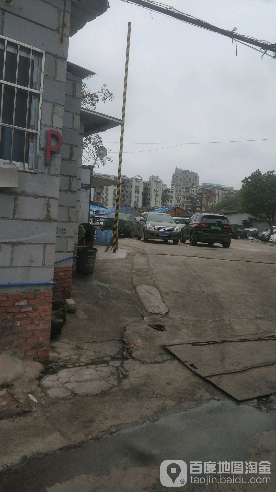 廣州哪里批發銀龍魚市場便宜的
