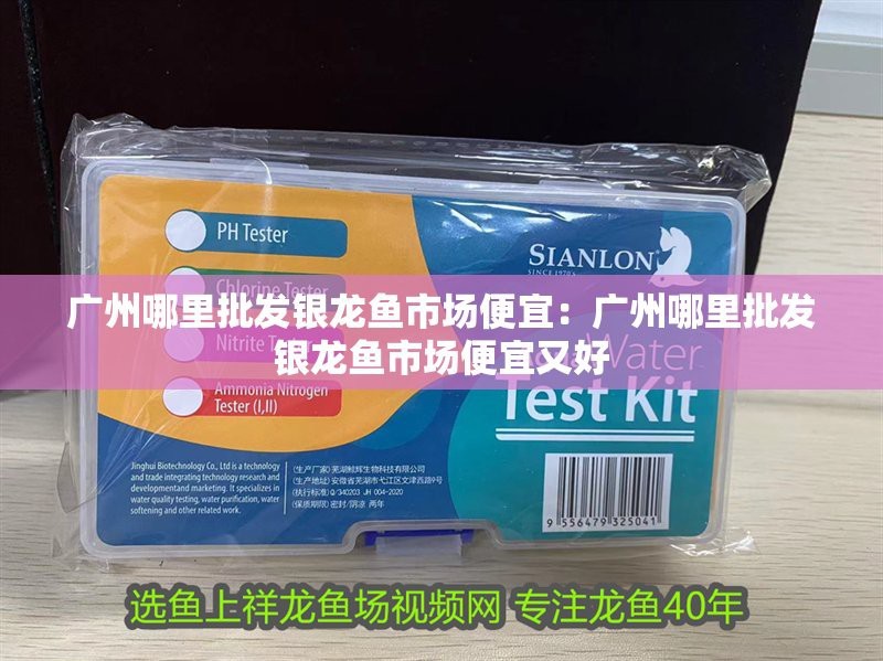 龍魚立鱗病自愈能力如何？，龍魚立鱗病治療時間表,
