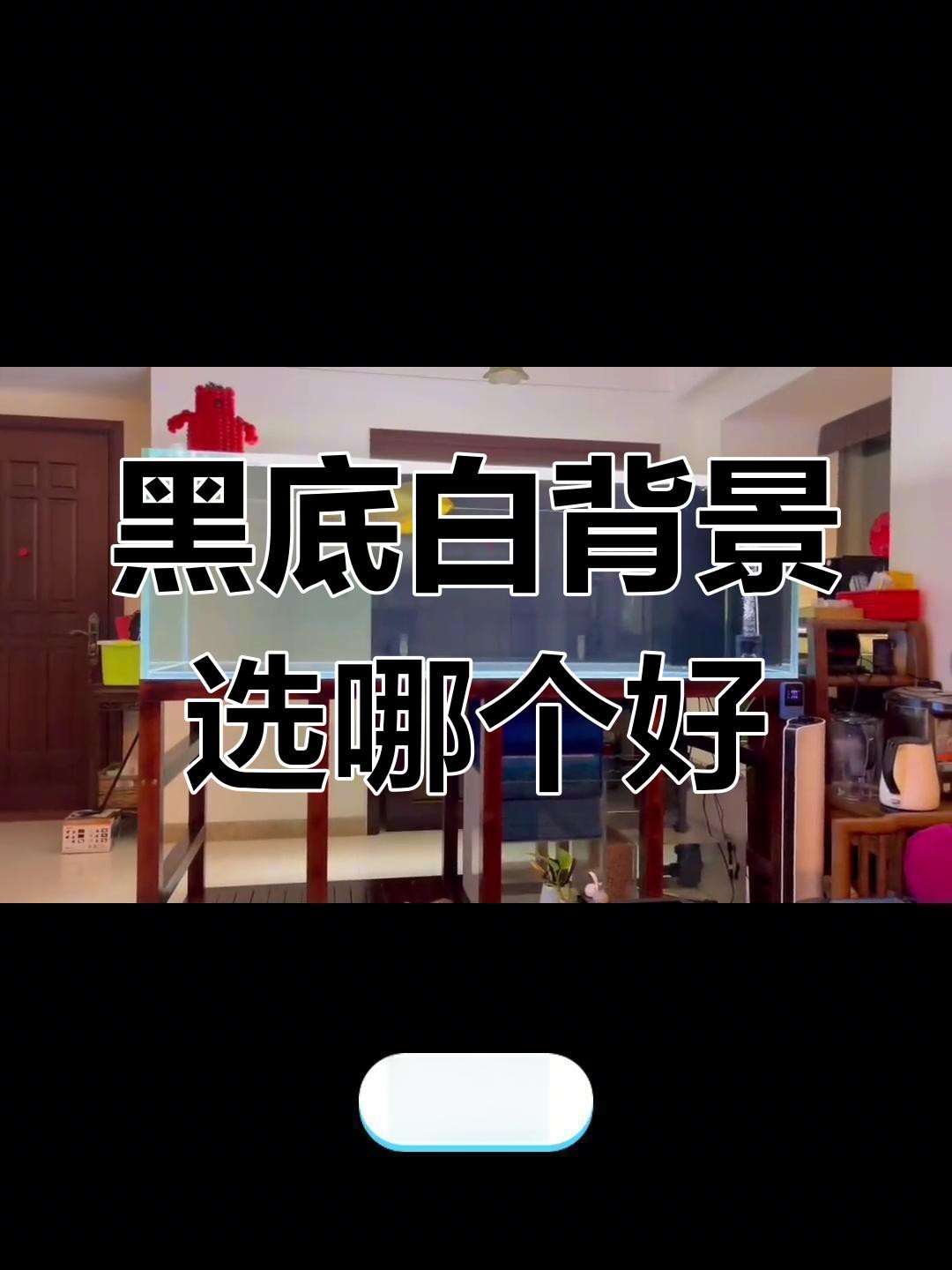 黑背景對(duì)紅龍發(fā)色有多大的影響？ 黑背景對(duì)紅龍發(fā)色有多大的影響？ 龍魚(yú)論壇 第3張