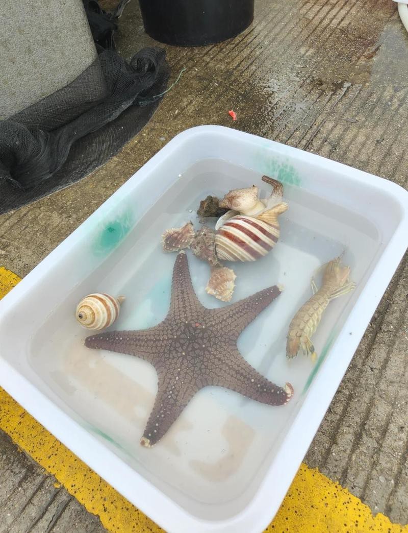 深圳最大的觀賞魚市場 深圳最大的觀賞魚市場 龍魚論壇 第3張
