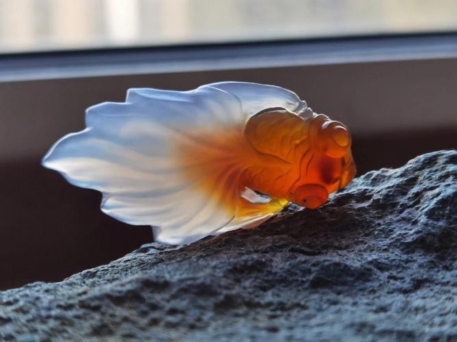 金魚雕刻圖片大全