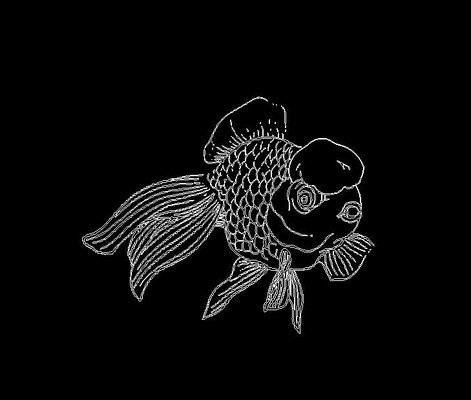 金魚雕刻圖片大全