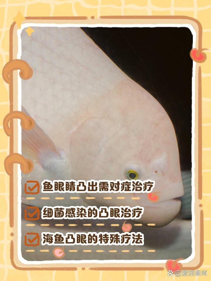 龍魚眼睛鼓出需要多久治療？