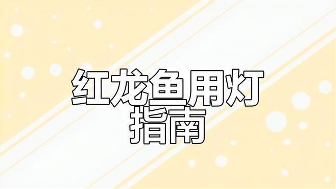 養紅龍魚用什么燈最好
